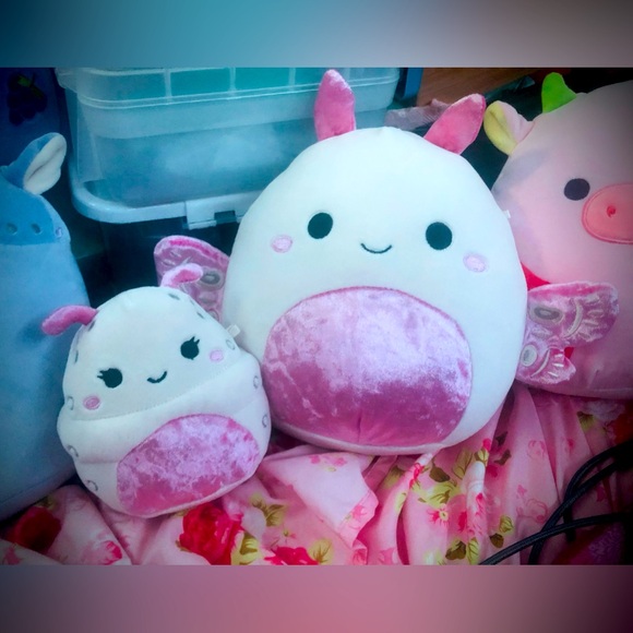 ๐บ๐ธ ๐ฆ Select series Silk Moth & Silk Worm 8โโ+5โโ ๐ - Picture 2 of 2